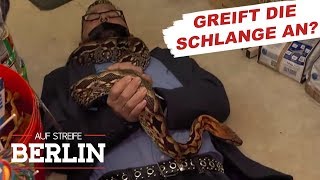 Chaos in der Zoohandlung Reptil ausgebrochen  Auf Streife  Berlin  SAT1 TV [upl. by Asiuol]