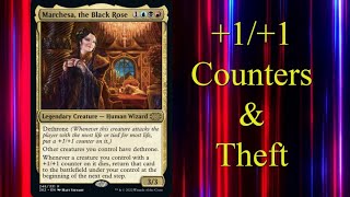 Lets Build a Marchesa the Black Rose Commander Deck [upl. by Aligna]