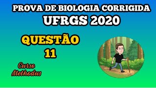 11 de 2020 da prova de biologia da UFRGS  A hidatidose cística é uma verminose provocada pelo [upl. by Saibot]