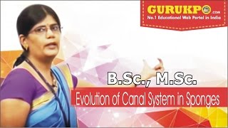 Evolution of Canal System in Sponges BSc amp MSc Zoology GuruKpo [upl. by Attelra]