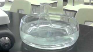 STS Supersaturation Lab Demo by Mr N [upl. by Hulda]