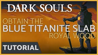 Dark Souls  How to get the Blue Titanite Slab in the Royal Wood DLC [upl. by Seraphim]