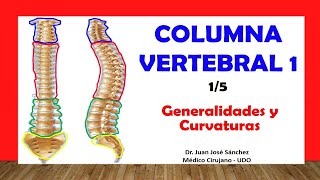 🥇 COLUMNA VERTEBRAL 15  Generalidades Curvaturas Fácil y Sencillo [upl. by Mahda]