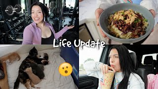 LIFE UPDATE Home Gym Baby Kittens  more [upl. by Norrehs]