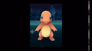 Pokemon Go  Nest in Charmander iOS [upl. by Colline241]