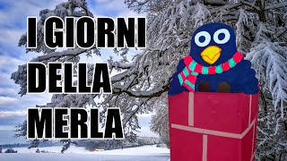 🐦⛄ I GIORNI DELLA MERLA lavoretto per bambini  audio storia illustrata [upl. by Armand144]