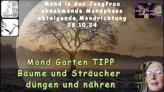 Mond Garten TIPP  Bäume und Sträucher jetzt düngen und nähren [upl. by Anagrom783]