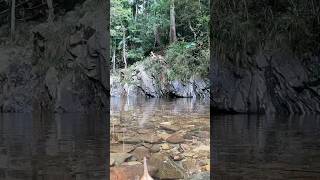 Cougal Cascades rock jumping and natural waterslide in Currumbin Valley 🌴 Jungle bathtubs [upl. by Tenay392]