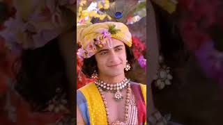 Radhe Krishna song love 🥰❤️🌺🌺🙏🙏 [upl. by Maddeu]