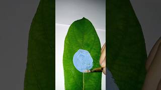 Shiv ji painting on leaf 🌿shorts youtube shorts mahadev art drawing hindudeity [upl. by Bravin]