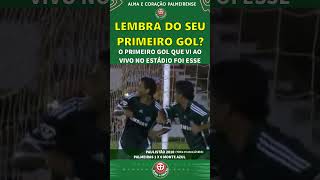 O PRIMEIRO GOL DO PALMEIRAS QUE VI EM ESTÁDIO [upl. by Ash530]