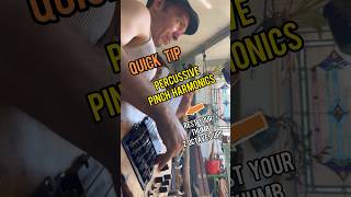 Pinch harmonics tips bassshorts bassplaying basstheworld bassiste bassist basslesson [upl. by Anwahsed]