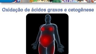 Curso de Bioquímica Oxidação de ácidos graxos e cetogênese parte II [upl. by Yecnay182]