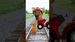 Cat carrying 😱 youtubeshorts train sorts vfx [upl. by Gerick]