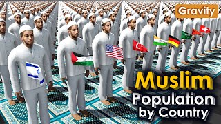 Muslim Population by Country 2024 [upl. by Ocinom]