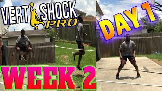 VERT SHOCK Pro Shock PhaseWeek 2 Day 1FOLLOW ALONG Vert Shock Day 8 Workouts [upl. by Shelley665]