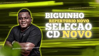 BIGUINHO SENSAÇÃO NOVO CD 2024  DEZEMBRO  MÚSICAS NOVAS  A SINTONIA DO ARROCHA  CD OFICIAL [upl. by Ttcos82]