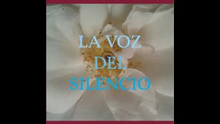 La Voz del Silencio por Martin Leiderman 15 [upl. by Anelak542]