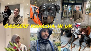 GROCERY KHARCHA IN UK 🛒  ANYA MADE STEAKS 🥩  SNOW IN CARDIFF  VLOG 470 [upl. by Akemahs263]