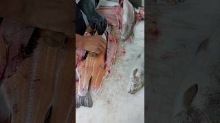 Super Fast SALMON Fish Cleaning amp Gut [upl. by Endor130]