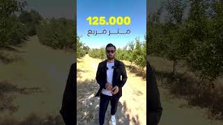 ارض زراعية بإنتاج سنوي كبير وبأسعار مناسبة جدا للمستثمرين [upl. by Swinton776]