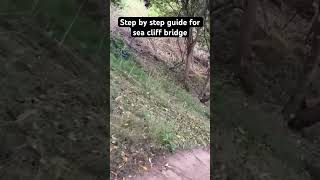 Step by step guide to sea cliff bridge vlog travel seabridge seacliff australia [upl. by Elspeth636]