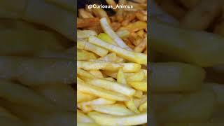 El sorprendente origen de las papas fritas [upl. by Oirogerg]