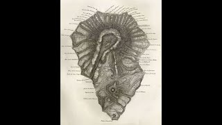 The Famous La PALMA MAP by Leopold von Buch Origin of the term CALDERA volcano geology history [upl. by Kapeed697]