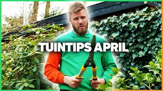 TUINTIPS voor APRIL  Aanplanten Gras maaien Slakken bestrijden amp Meer [upl. by Alaikim]