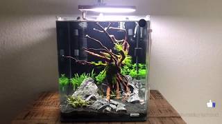 Dennerle Nano cube 30l  aquascaping [upl. by Alletsyrc]