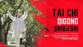 Tai Chi Qigong Shibashi Set 3 Tutorial  Movements 1318  Mirrored version with all the details [upl. by Jenne]