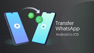 iCareFone WTSapp AndroidiOS App Quick Guide  Transfer WhatsApp from Android to iOS without PC [upl. by Alathia]