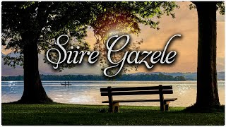 ŞİİRE GAZELE ♫ Fon Müziği Kanun amp Gitar [upl. by Jolene]