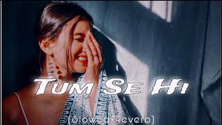 Tum Se Hi Din Hota Love Lofi Song  SlowedReverb [upl. by Lisan]