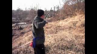 shooting barebow 60M [upl. by Almena]