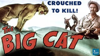 The Big Cat 1949  Action Film  Lon McCallister Peggy Ann Garner Preston Foster [upl. by Meletius89]