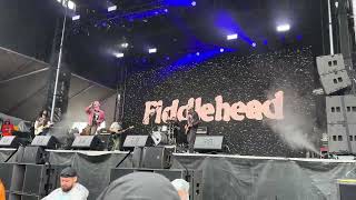 Fiddlehead  Heart to Heart  Live Chicago Riot Fest 2024 [upl. by Ennybor501]