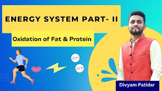 Energy System II Oxidation of Fat amp Protein  Aerobic Energy System  Exercise Physiology By Divyam [upl. by Reinke190]