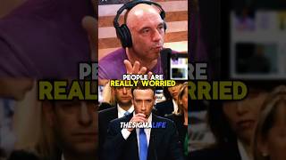 Rogan on Mark Zuckerberg Speaking Mandarin in China [upl. by Daniela762]