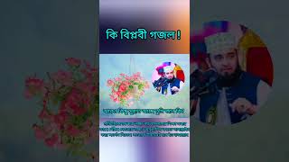 বিপ্লবী গজল। [upl. by Aciras]