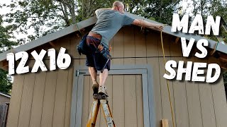 Building a 12x16 Shed [upl. by Lrac]