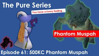 OSRS Pure Series  Episode 61 Loot from 500 Phantom Muspah PET [upl. by Aniuqaoj]