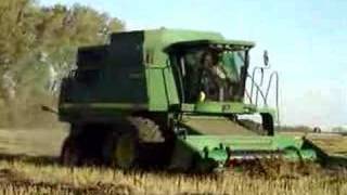 combining organic hemp in sask [upl. by Armin]