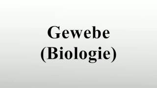 Gewebe Biologie [upl. by Corsiglia]