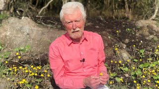 Coltsfoot with John Feehan in April  part of the Wildflowers of Offaly series [upl. by Ransome266]