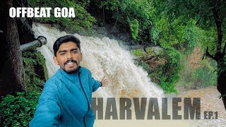 OFFBEAT GOA  Harvalem  Keri  Monsoon [upl. by Cranford]