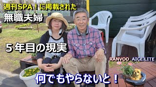 楽でない小屋暮らしの節約生活、DIY、猛暑対策【50代無職 家なし夫婦の小屋暮らし】RANVOO AICE LITE、AICE3、優貴プロジェクトの田舎暮らし [upl. by Dorehs]