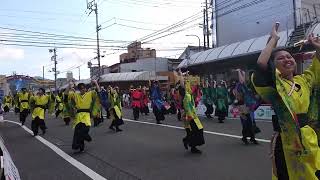 高知工科大学よさこい踊り子隊 高知よさこい祭り2024升形競演場2日目 [upl. by Yole]