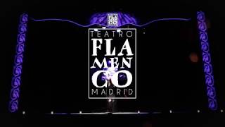 Teatro Flamenco Madrid  Promo [upl. by Anehta]