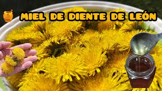 Miel vegana aprovechando la explosión de flores de Diente de León 🐝 [upl. by Tasiana]